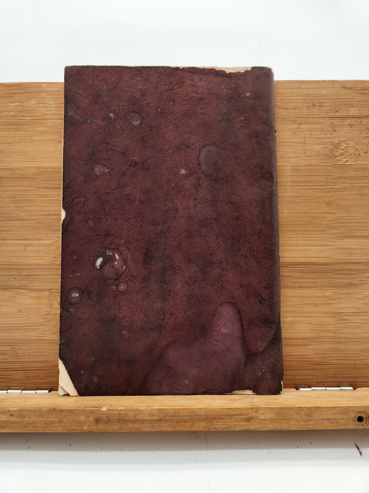 A Near Century of Public Service in New Orleans (c.1930) by Hugh Mercer Blain — NOPSI Streetcar & Utility History