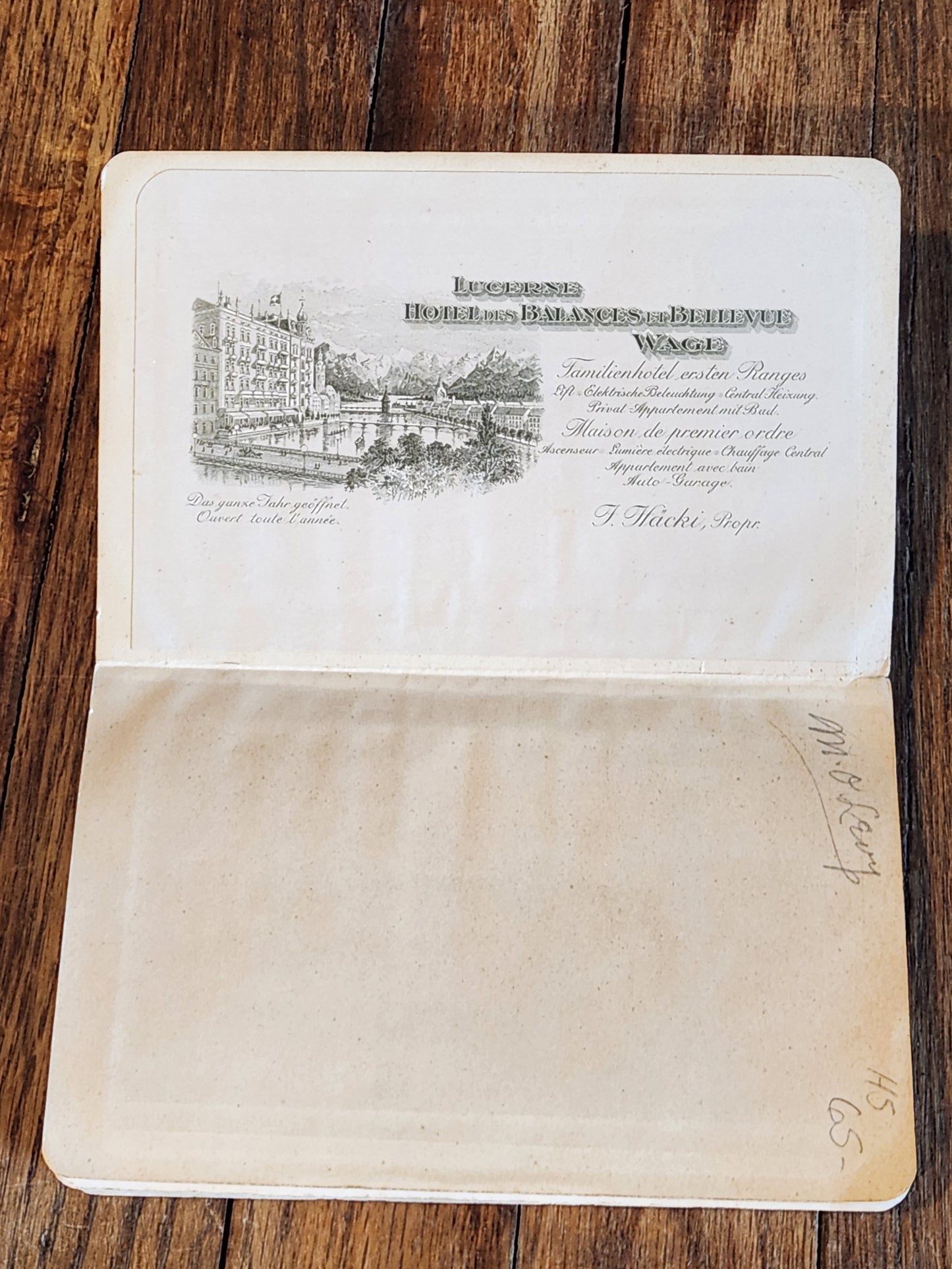 1913 Guide to Lucerne Switzerland – Lake & Environs Travel Book w/ Maps & Ads Souvenir