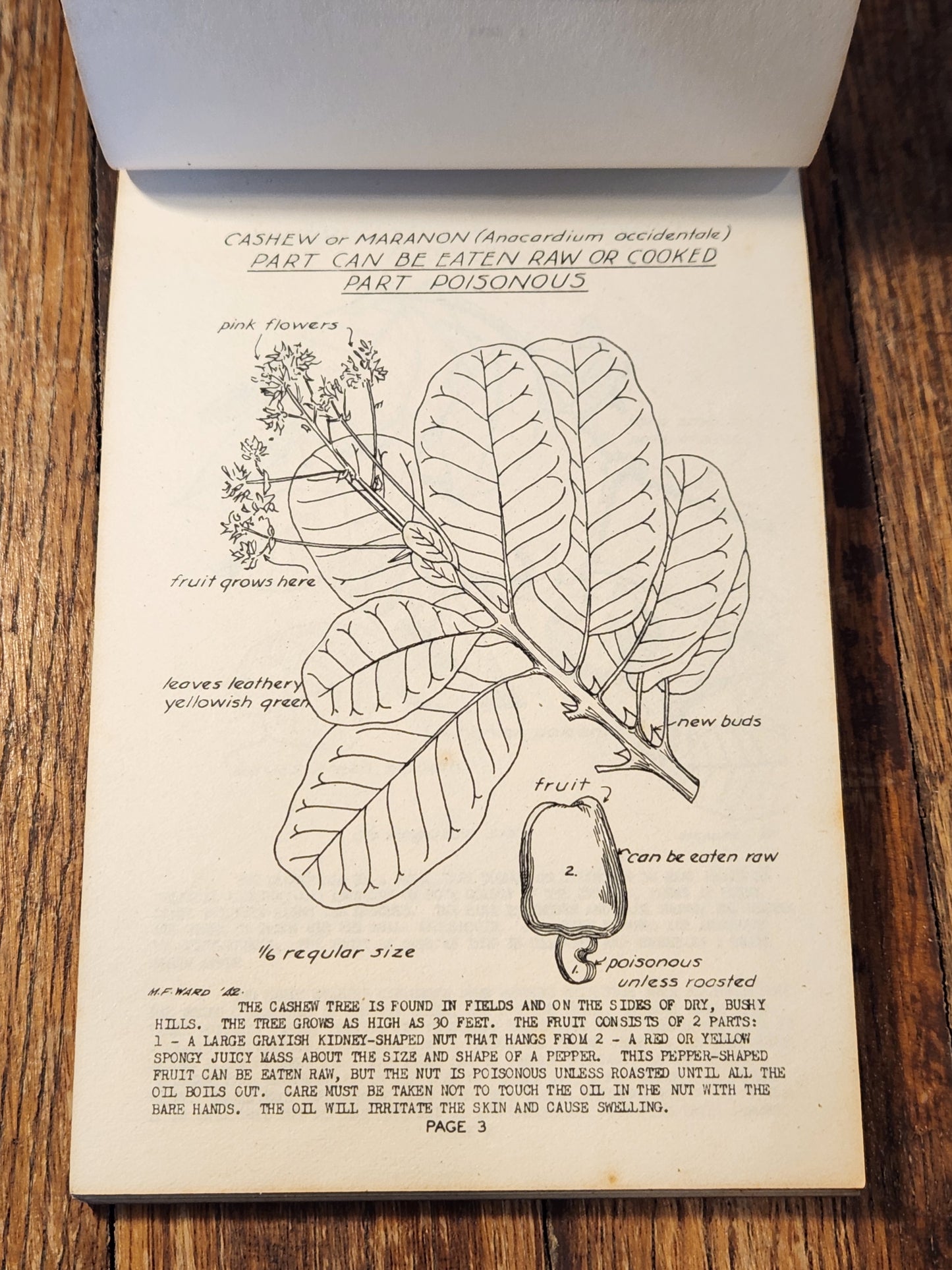 Edible, Poisonous and Medicinal Fruits of Central America