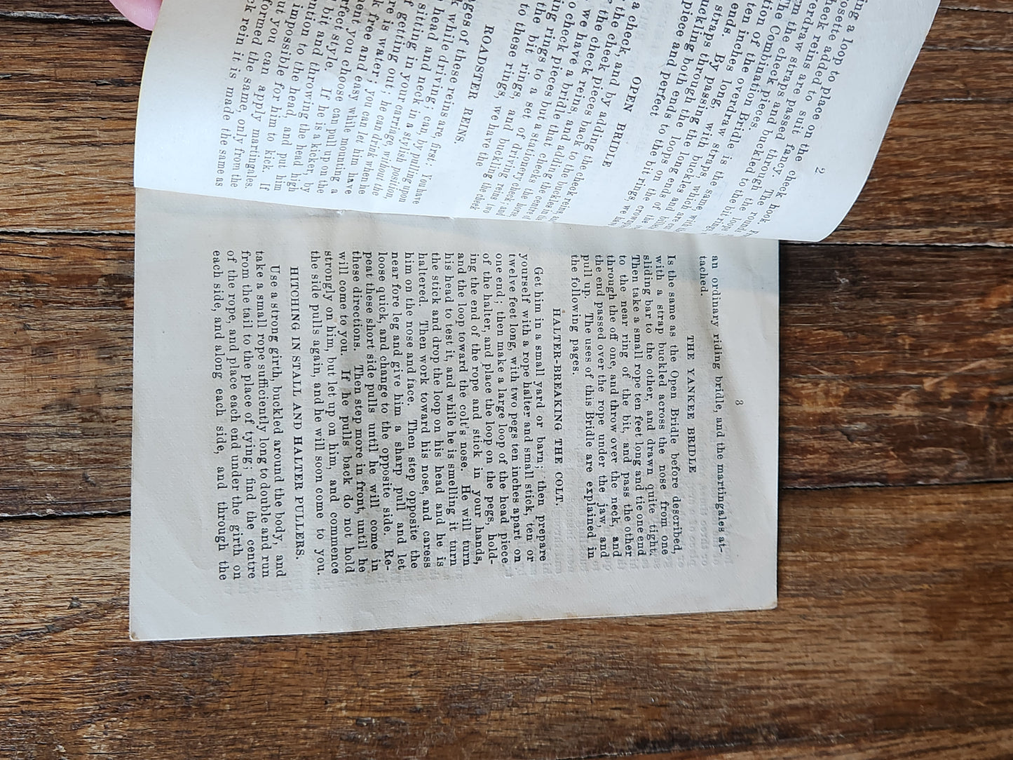 1876 Horse Training Manual Booklet – Babcock Educating the Horse Ohio