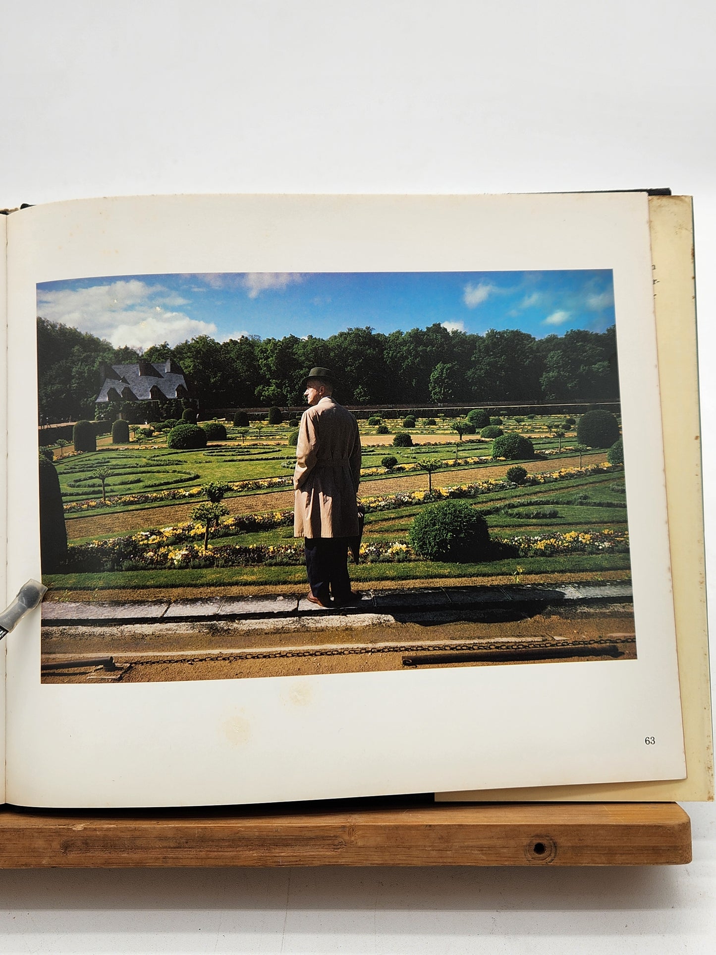 Joel Meyerowitz Wild Flowers 1983 first edition photography book with color plates. Notable street photography work—foxing present.