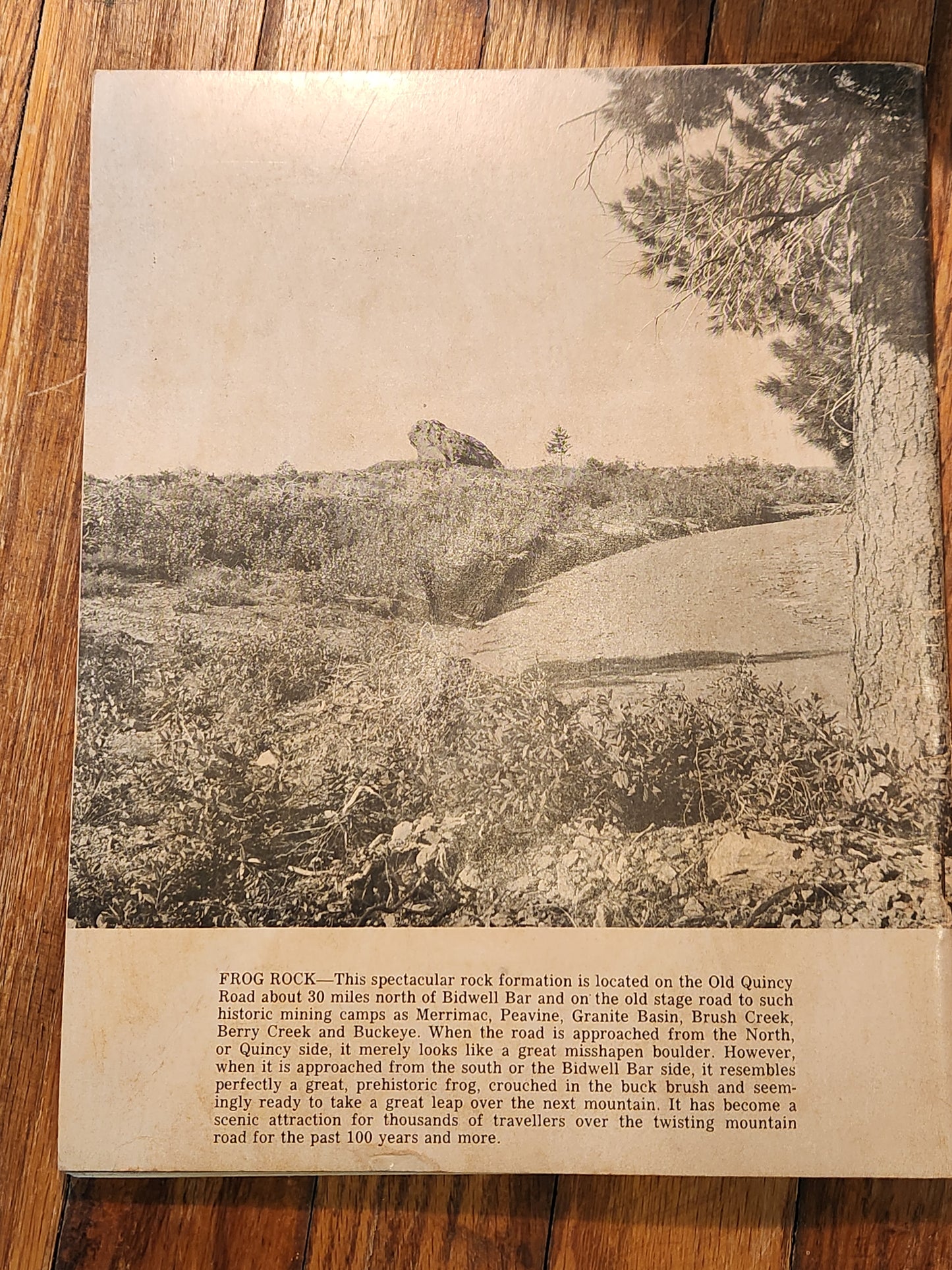 Lost Beneath the Feather by Bill Talbitzer