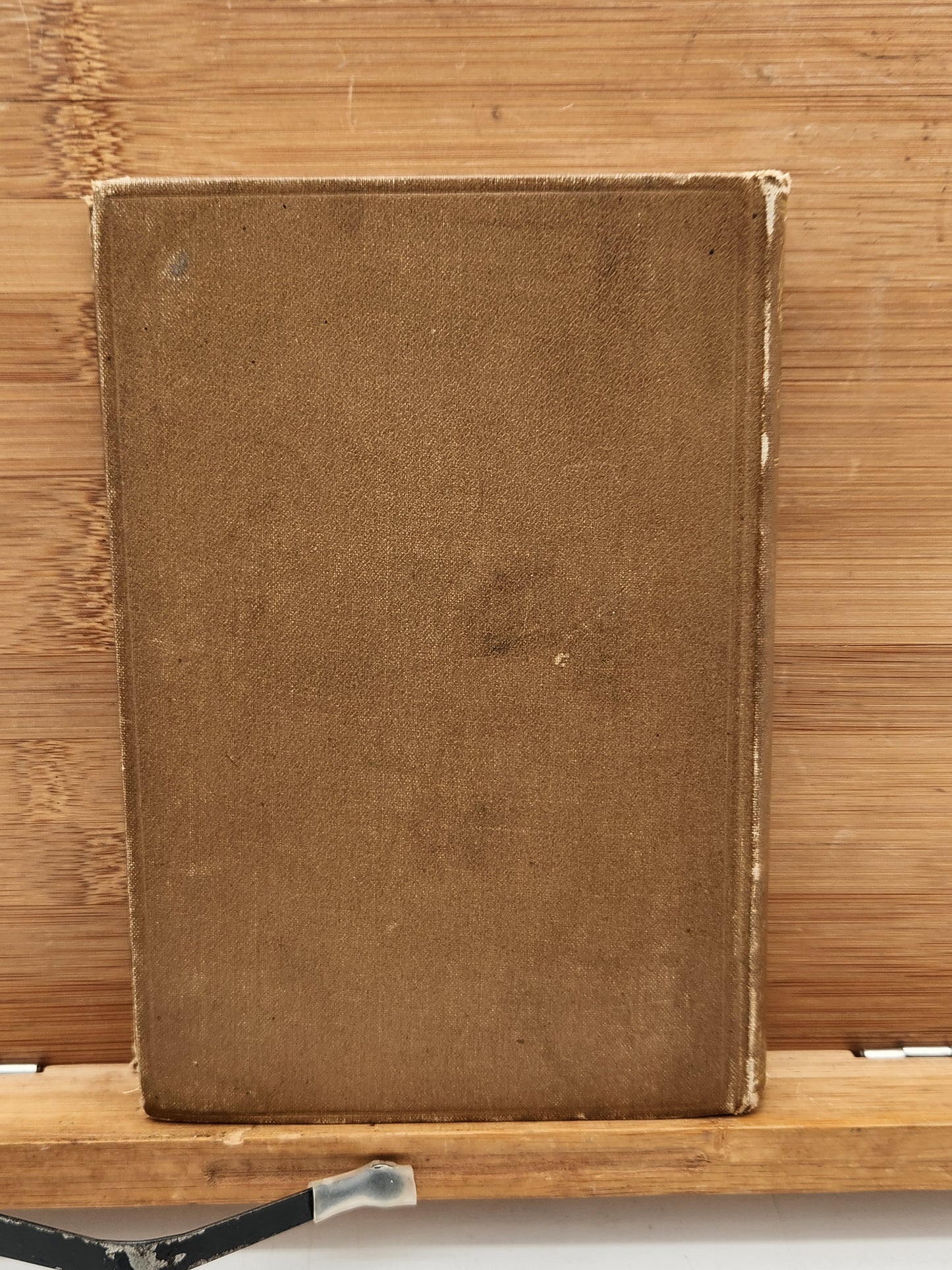 1891 Appleton edition of Sketches of the Flush Times of Alabama, illustrated antebellum Southern humor and frontier life.