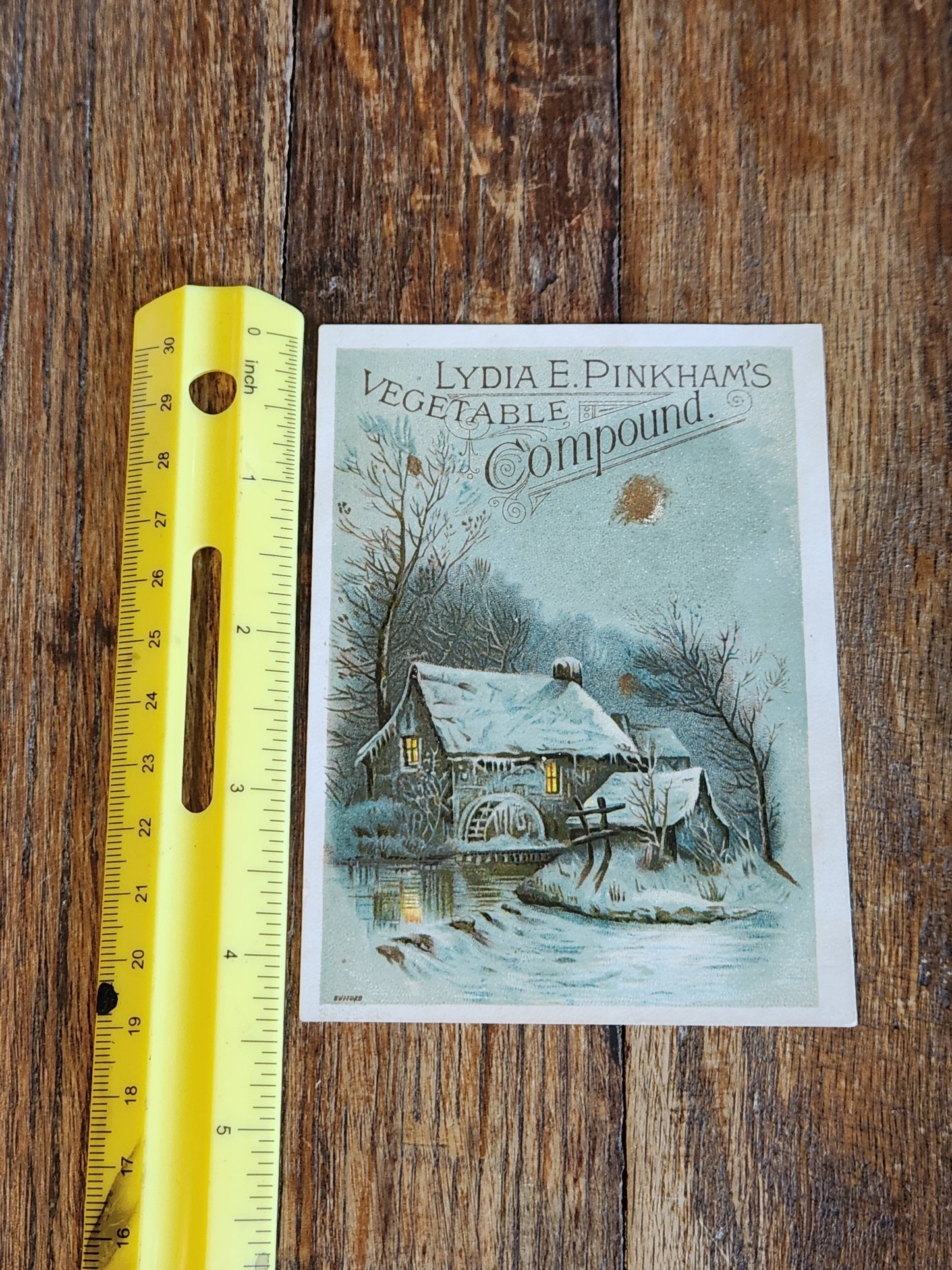 Victorian Trade Card Lydia E. Pinkham’s Vegetable Compound Winter Scene