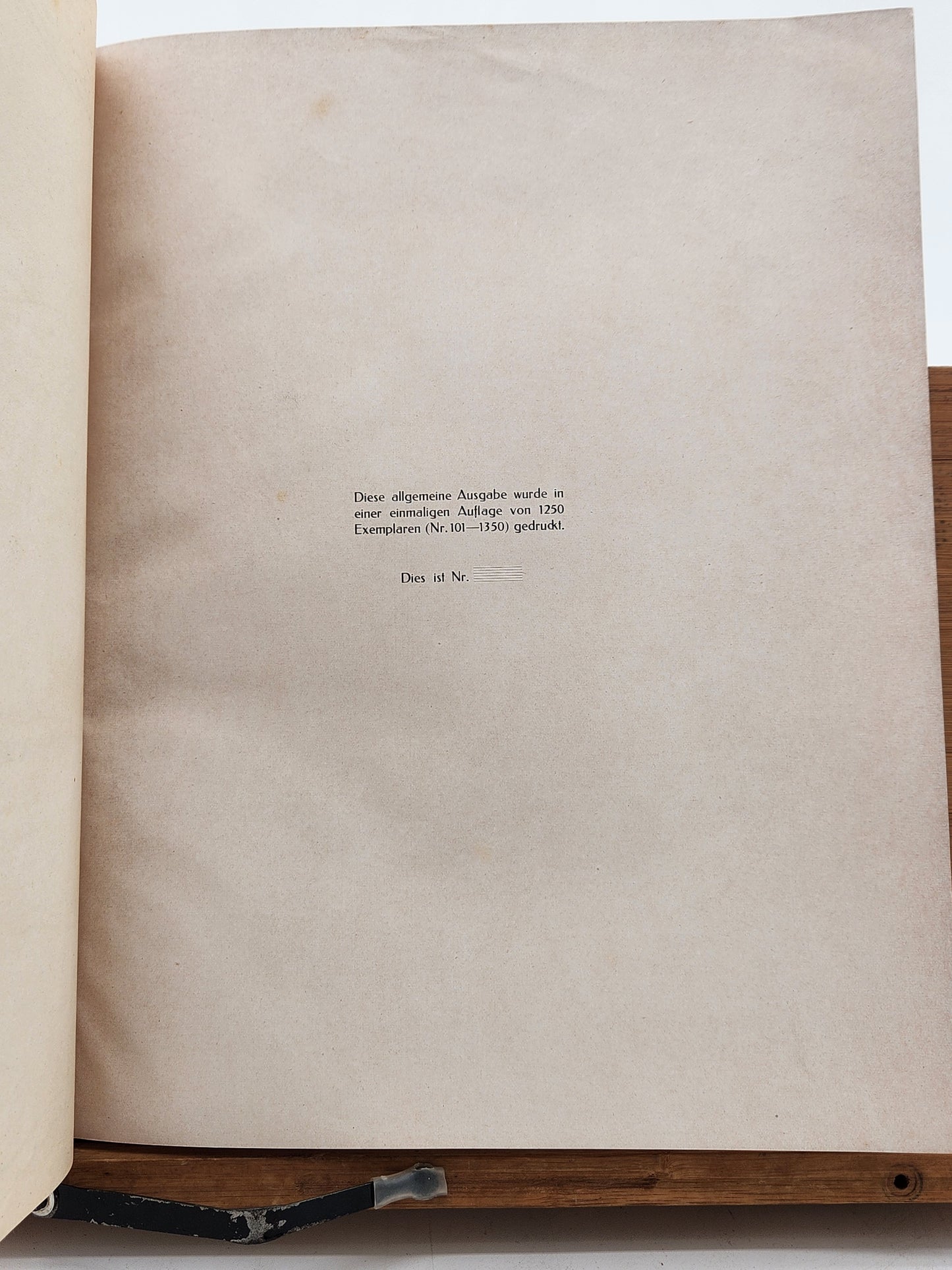 1920 Limited Edition Julius Diez Art Book