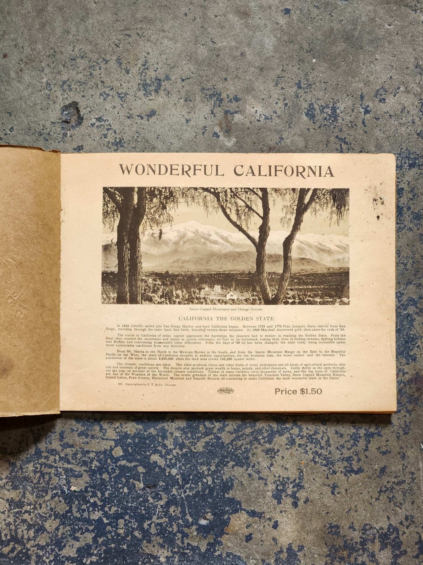 Wonderful California c.1910 Southern Pacific Railroad Photo View Book – Early Travel Souvenir